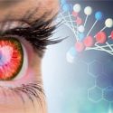Neurobiologie der Angsterkrankungen