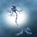 DFP-Literaturstudium: MS- Verlaufsformen und Diagnostik