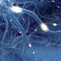 DFP-Literaturstudium : M. Parkinson: Verlauf und therapeutische Optionen