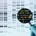 Vom Sinn und Unsinn präklinischer Diagnostik