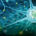 Serotonin und Neuroplastizität bei Depression