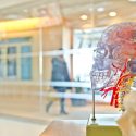 Der Grad an psychiatrischer Komorbidität ist hoch