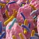 Überreaktives Immunsystem durch Mangel an „alten Freunden“